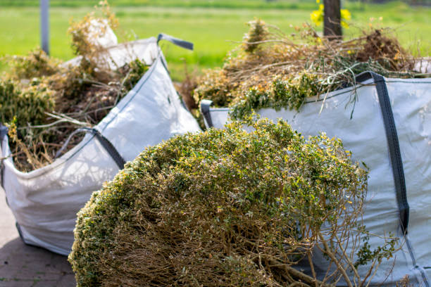 Professional Junk Removal in Woodhaven, MI